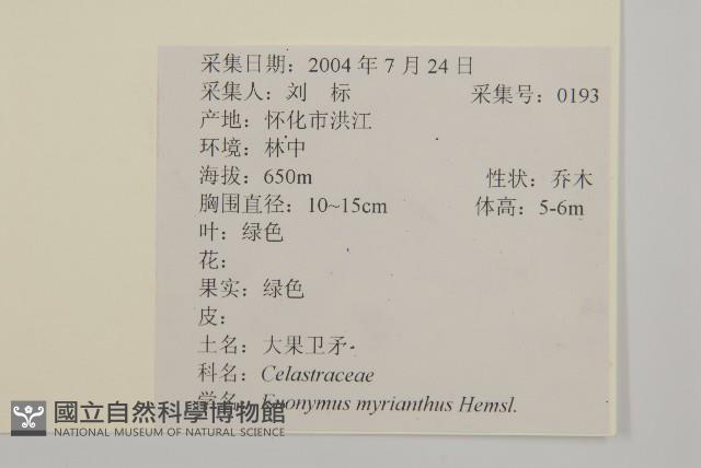 Accession Number:S104046 Collection Image, Figure 2, Total 2 Figures