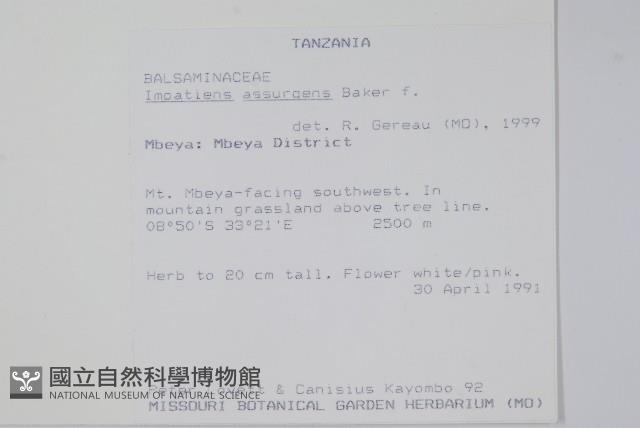 登錄號:S094046藏品圖，第2張