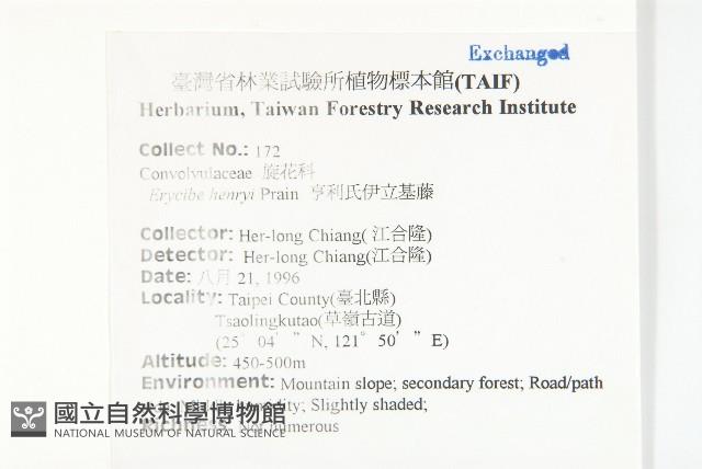 亨利氏伊立基藤藏品圖，第2張