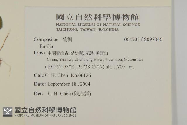 登錄號:S097046藏品圖，第2張