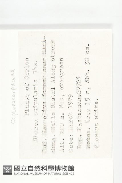 登錄號:S047046藏品圖，第2張