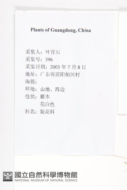 中國菟絲子藏品圖，第2張