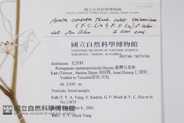 登錄號:S076746藏品圖，第2張