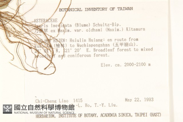 刀傷草藏品圖，第2張