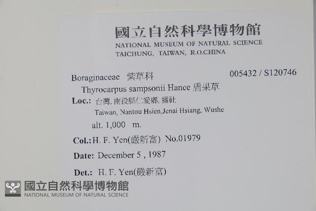 盾果草藏品圖，第2張