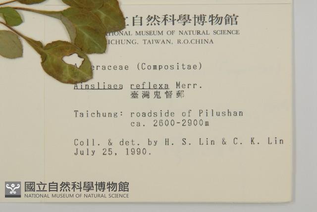 臺灣鬼督郵藏品圖，第2張