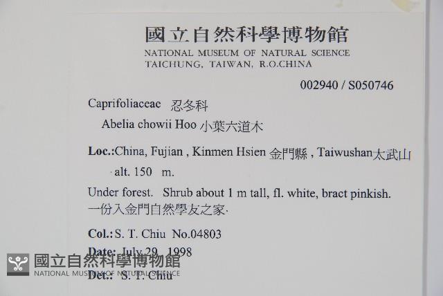 Accession Number:S050746 Collection Image, Figure 2, Total 2 Figures