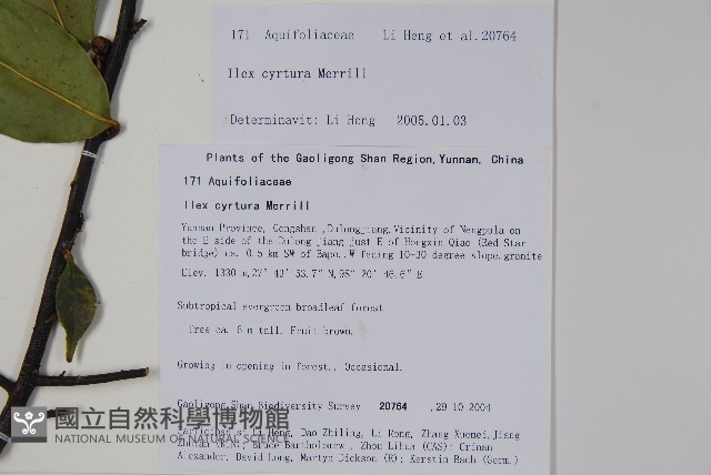 登錄號:S105746藏品圖，第2張