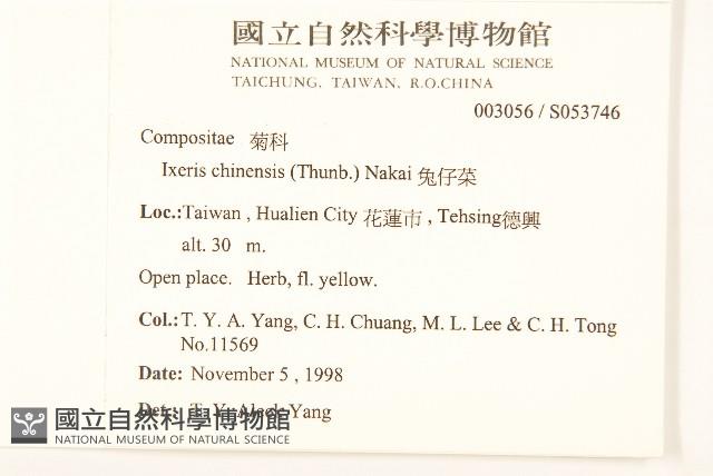 兔仔菜藏品圖，第2張