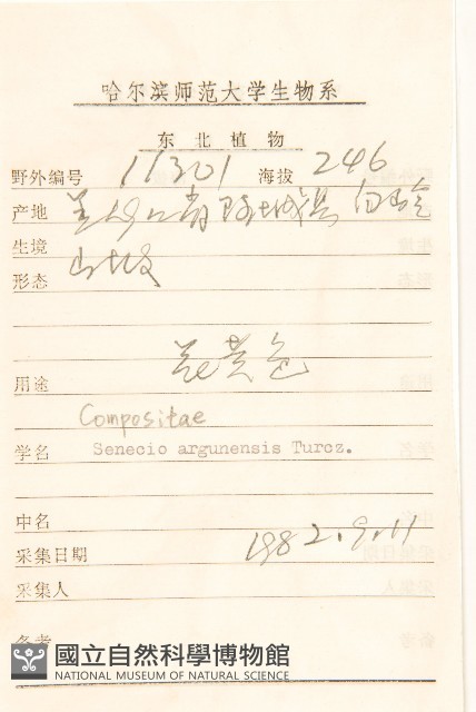 羽葉千里光藏品圖，第2張