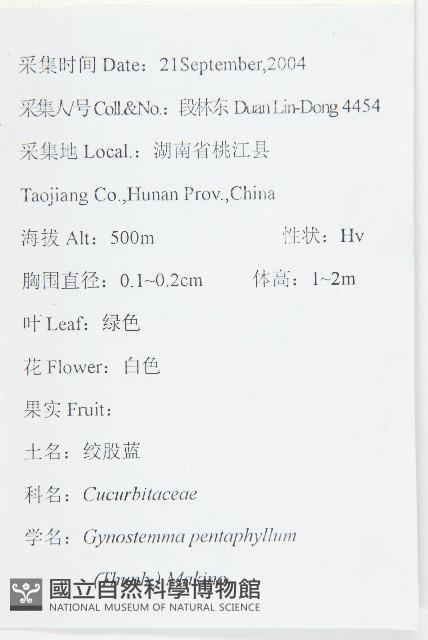 絞股藍藏品圖，第1張