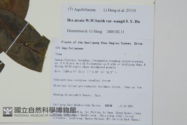 登錄號:S106246藏品圖，第2張