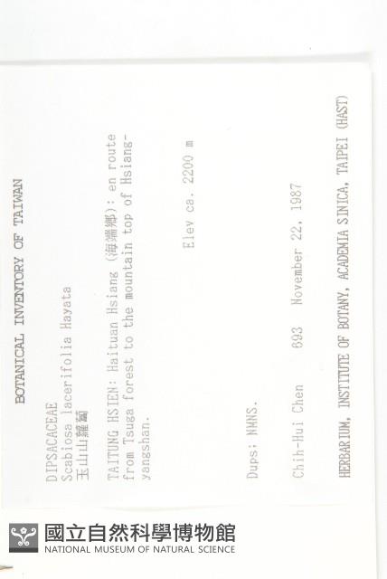 玉山山蘿蔔藏品圖，第2張