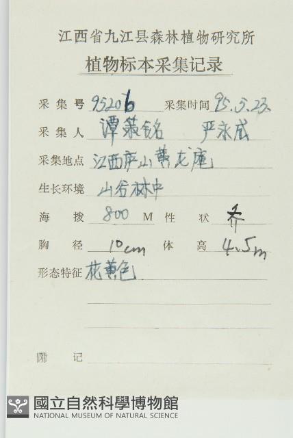 四照花、山荔枝藏品圖，第2張