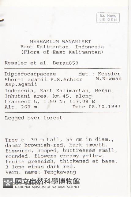 登錄號:S055246藏品圖，第2張