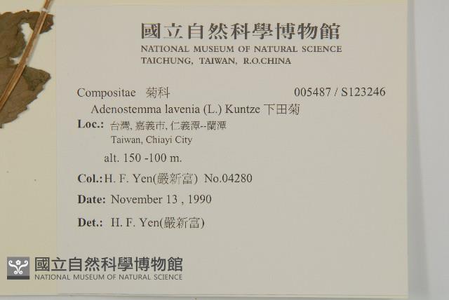 下田菊藏品圖，第2張