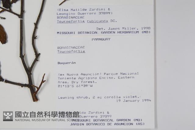 登錄號:S051446藏品圖，第2張