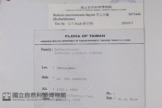 玉山小蘗藏品圖，第2張