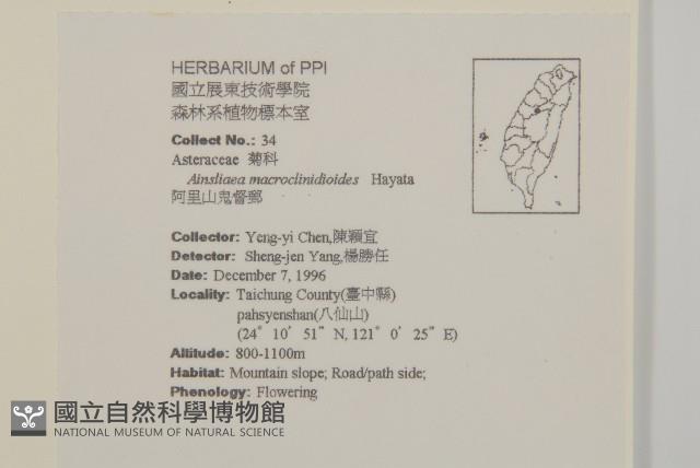 阿里山鬼督郵藏品圖，第2張