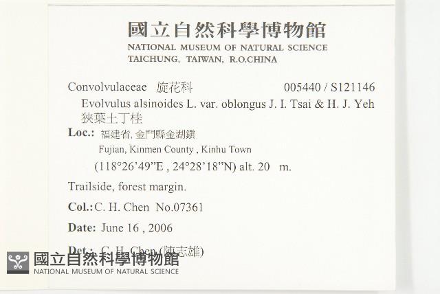 狹葉土丁桂藏品圖，第2張