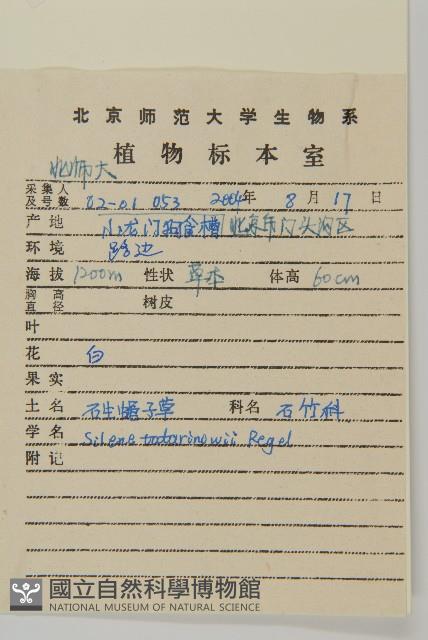 石生蠅子草、山女婁菜藏品圖，第2張