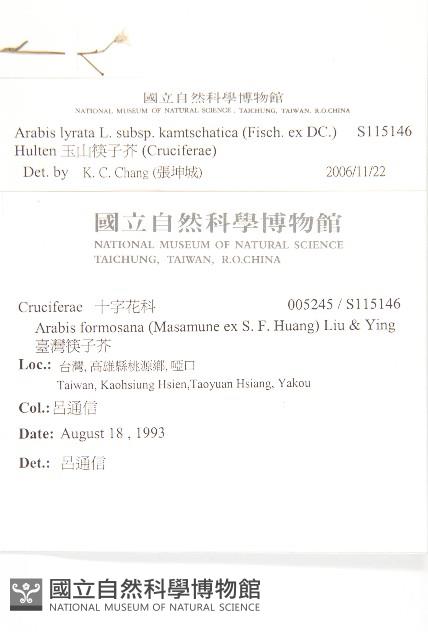 玉山筷子芥藏品圖，第2張