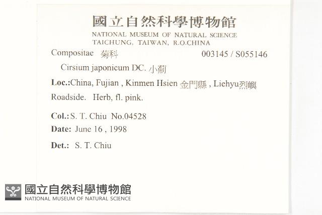 小薊藏品圖，第2張