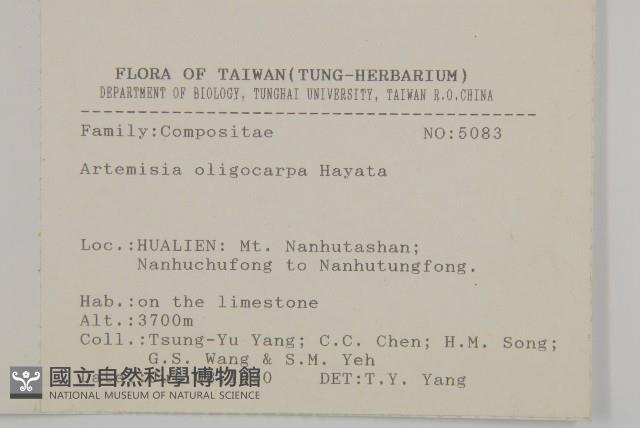 高山艾藏品圖，第2張