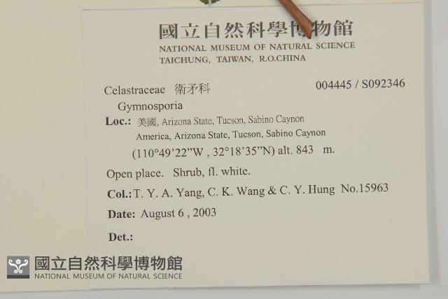 登錄號:S092346藏品圖，第2張