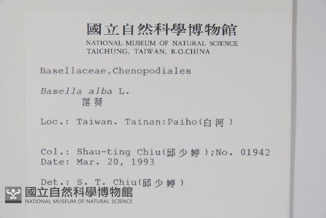 落葵藏品圖，第2張