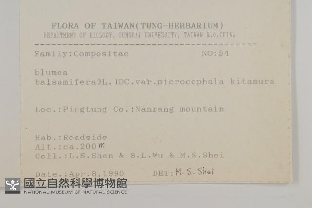 艾納香藏品圖，第2張