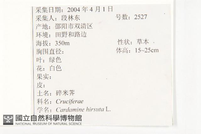 碎米薺藏品圖，第2張