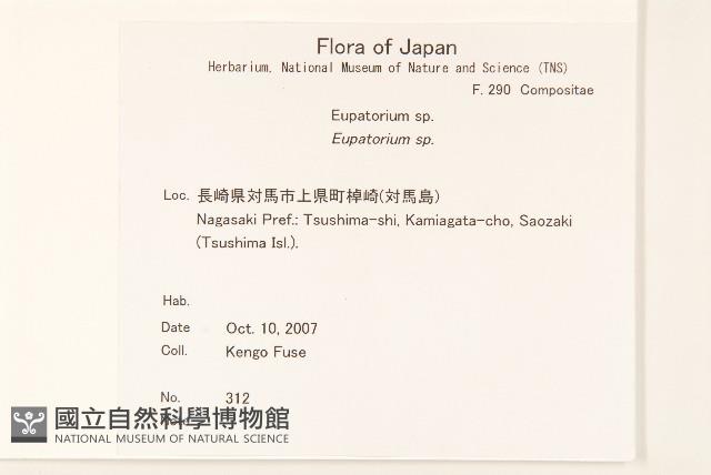 登錄號:S144346藏品圖，第2張