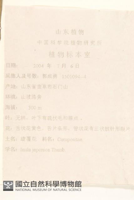 旋覆花藏品圖，第2張