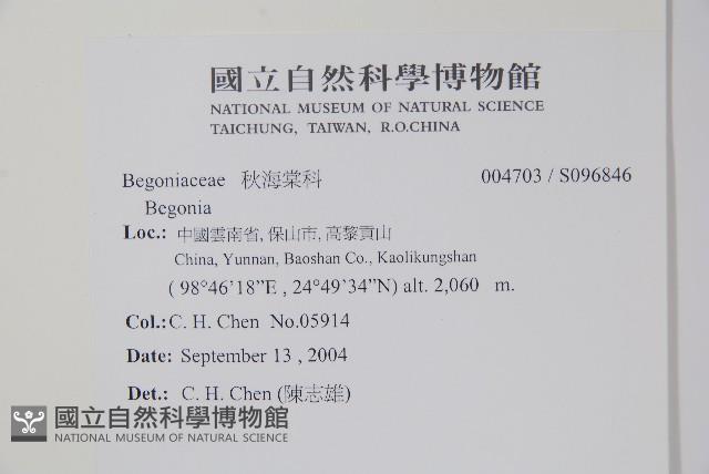 登錄號:S096846藏品圖，第2張