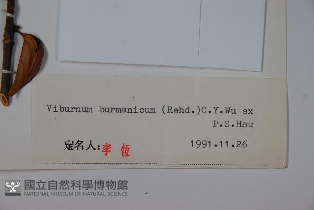 滇緬莢迷藏品圖，第2張