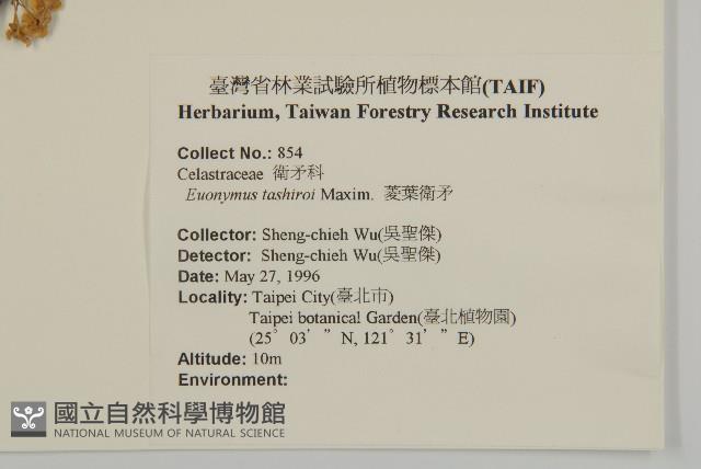 菱葉衛矛藏品圖，第2張