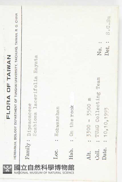 玉山山蘿蔔藏品圖，第2張