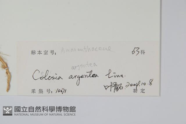 青葙藏品圖，第2張