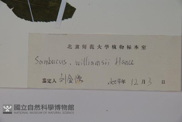 Accession Number:S110946 Collection Image, Figure 2, Total 2 Figures