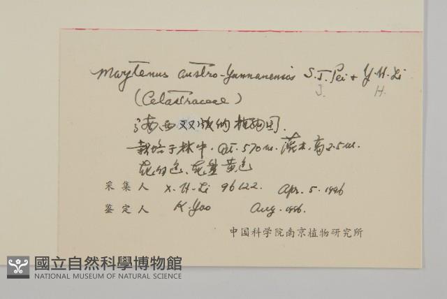 滇南美登木藏品圖，第2張