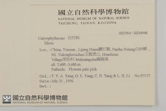 登錄號:S034946藏品圖，第2張