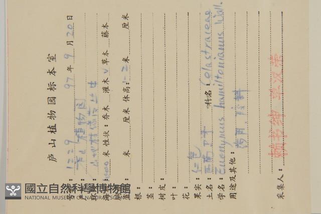 西南衛矛藏品圖，第2張