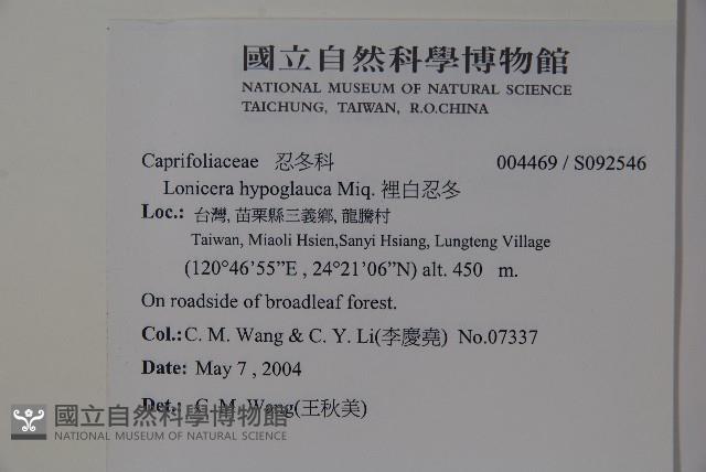裡白忍冬、紅腺忍冬藏品圖，第2張