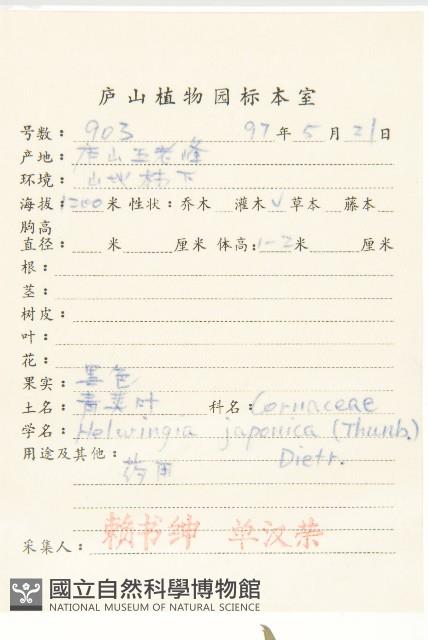 青莢葉藏品圖，第2張