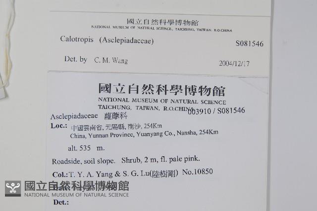 登錄號:S081546藏品圖，第2張