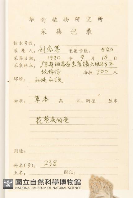 紅面番藏品圖，第2張