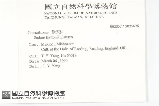 信東尼 藏品圖，第2張