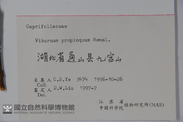 高山莢迷藏品圖，第2張