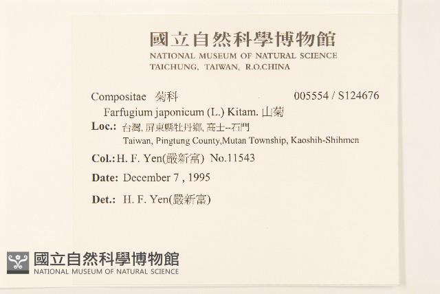 山菊藏品圖，第2張